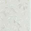 Jangal chalk PDG1127-01