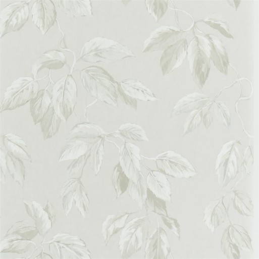 Jangal chalk PDG1127-01