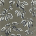 Jangal zinc PDG1127-06