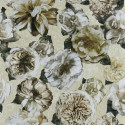 Pahari vanilla PDG1128-03