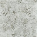 Tarbana oyster PDG1126-01
