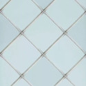 Palm house trellis sky W7451-02