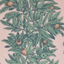 Medlar blush W7458-01