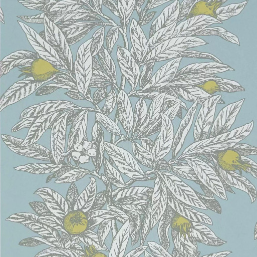 Medlar sky W7458-03