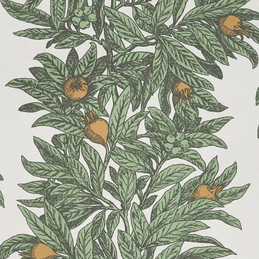 Medlar sage W7458-04