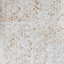 Laca Salvaje l'heure gitane VP 916 03
