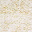 Laca Salvaje plage et coquillages VP 916 05