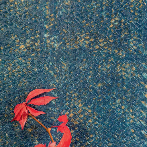 Papier peint Laca Salvaje