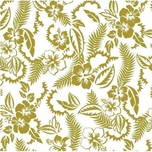 Jamaique naturel 3338-01