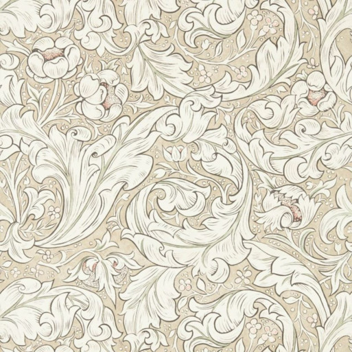 Pure bachelors button lin/corail 	216051