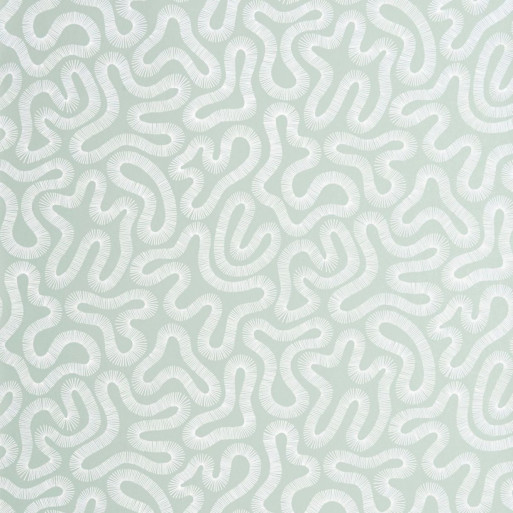 Coral celeste MISP1341