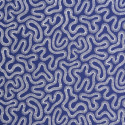 Coral lapis MISP1338