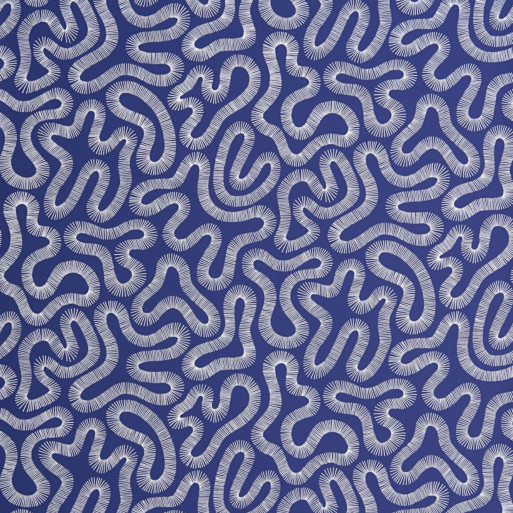 Coral lapis MISP1338