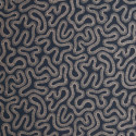 Coral fossil MISP1342