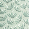 Wildflower thyme MISP1345