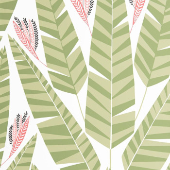 Jungle palm MISP1348
