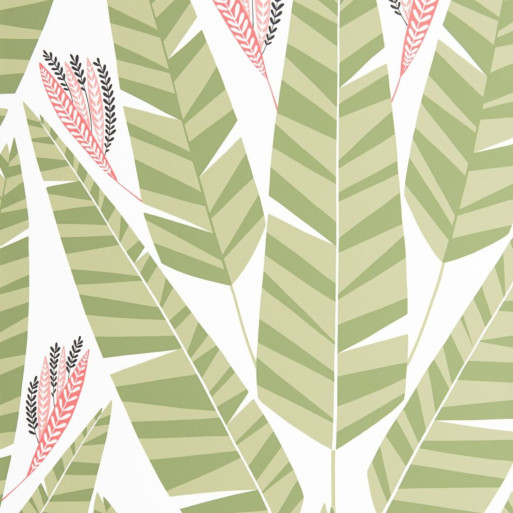 Jungle palm MISP1348