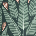 Jungle rainforest MISP1349