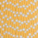 Meadow goldfield MISP1320