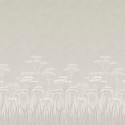 Achillea brume 0246ACBRUME