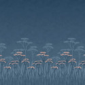 Achillea nighttide 0246ACNIGHT
