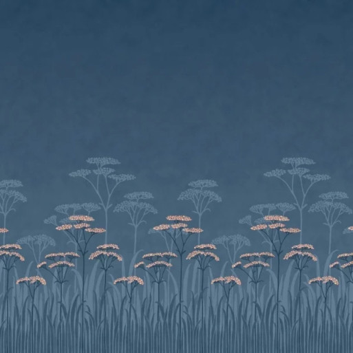 Achillea nighttide 0246ACNIGHT