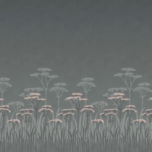 Achillea twilight 0246ACTWILI
