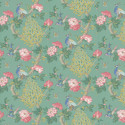 Pavona vivienne 0246PAVIVIE