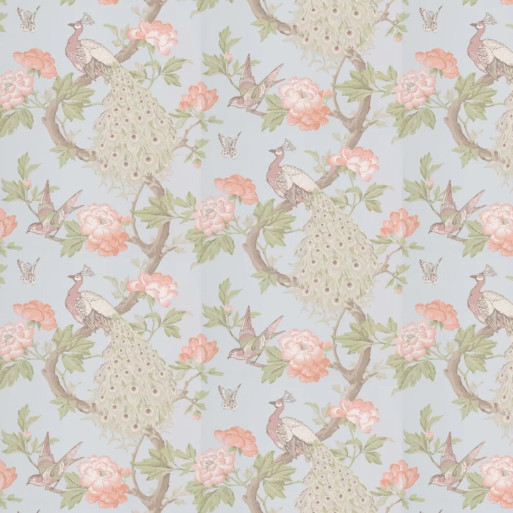 Pavona pearle  0246PAPEARL