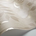 Nautilus