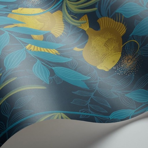 Nautilus