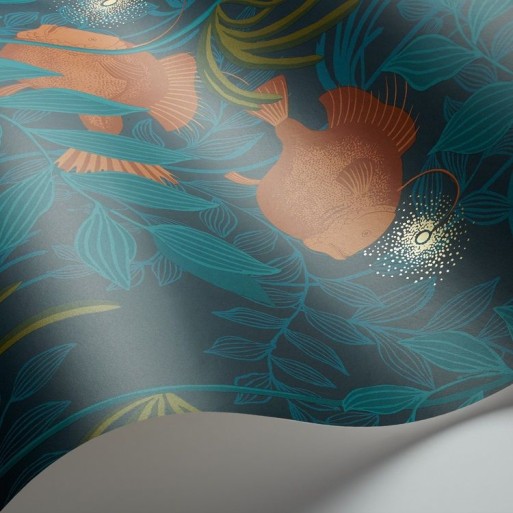 Nautilus