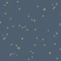 Stars 103/3017