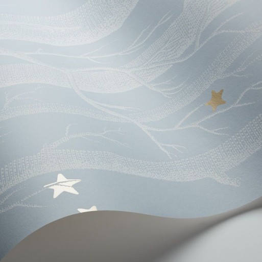 Woods & Stars