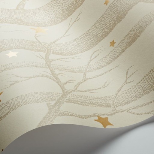 Woods & Stars