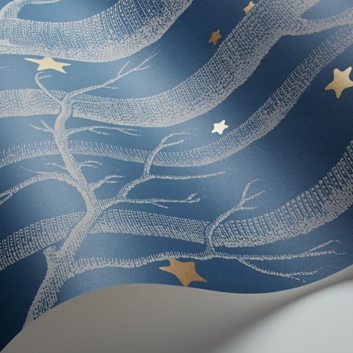 Woods & Stars