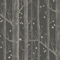 Woods & Stars 103/11053