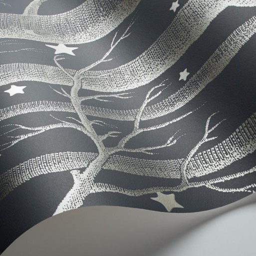 Woods & Stars