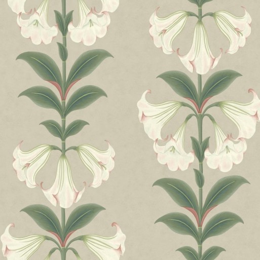 Angel's Trumpet Chalk 117-3007