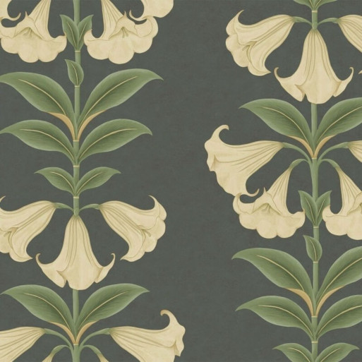 Angel's Trumpet Cream 117-3006