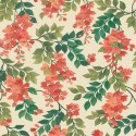 Bougainvillea Rouge 117-6016