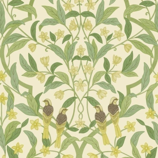 Jasmine & Serin Symphony White 117-10031