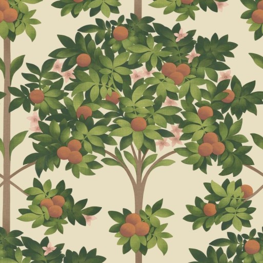 Orange Blossom Parchment 117-1001