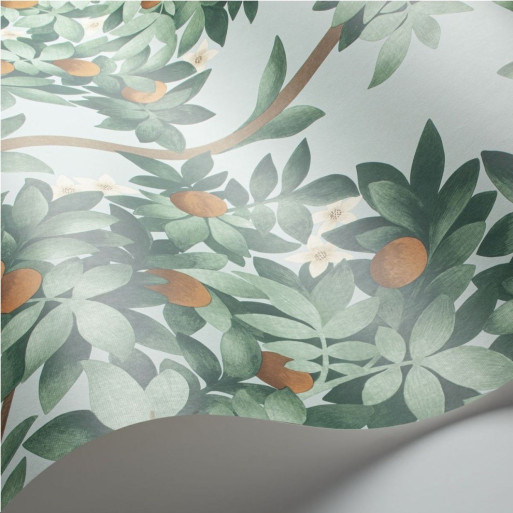 papier peint orange blossom