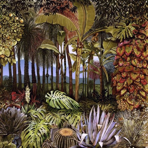 Botánico Mañana N 8000048