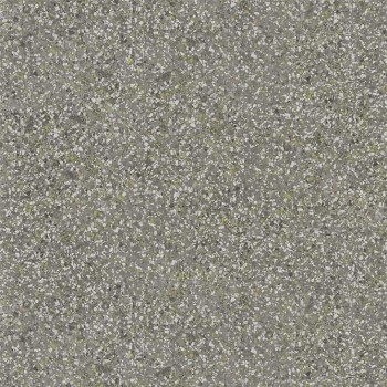 Pavonazzo Birch  PDG1031/02