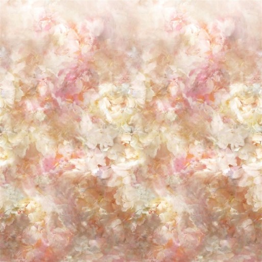 Fleur de nuit