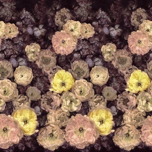 Le poème des fleurs 1107-01