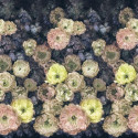 Le poème des fleurs midnight 	1107-02