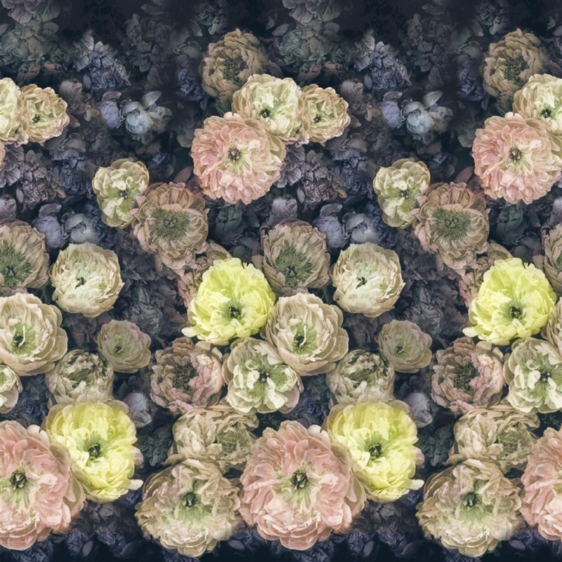 Le poème des fleurs midnight 	1107-02